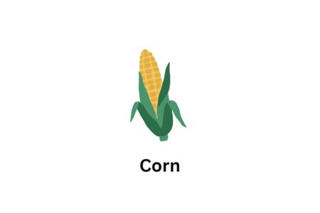 Corn