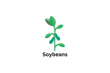 Soybeans