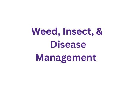 Weed, Insect, and Disease Management